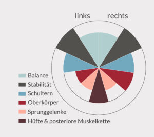 DressurFit Auswertung Diagramm