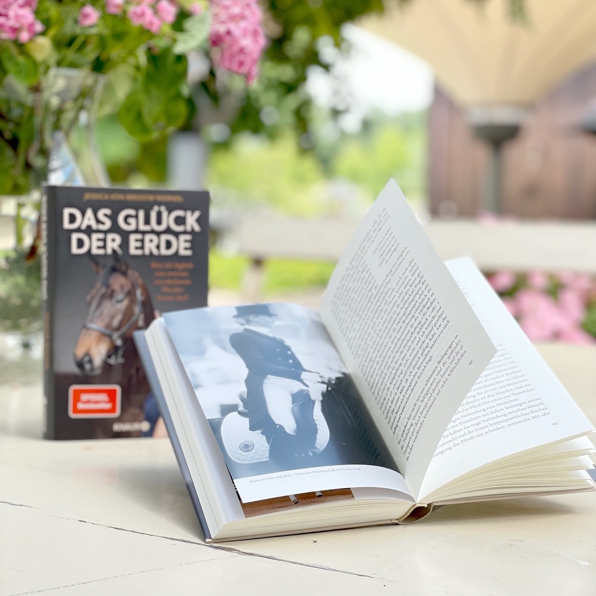 Buch „Das Glück der Erde“