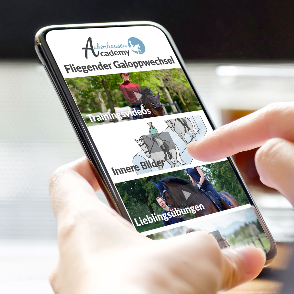 Online-Kurs: Fliegender Galoppwechsel