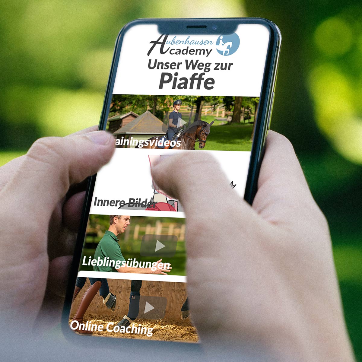 Online-Kurs: Unser Weg zur Piaffe