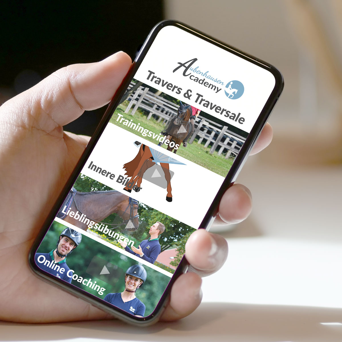 Online-Kurs: Travers & Traversale