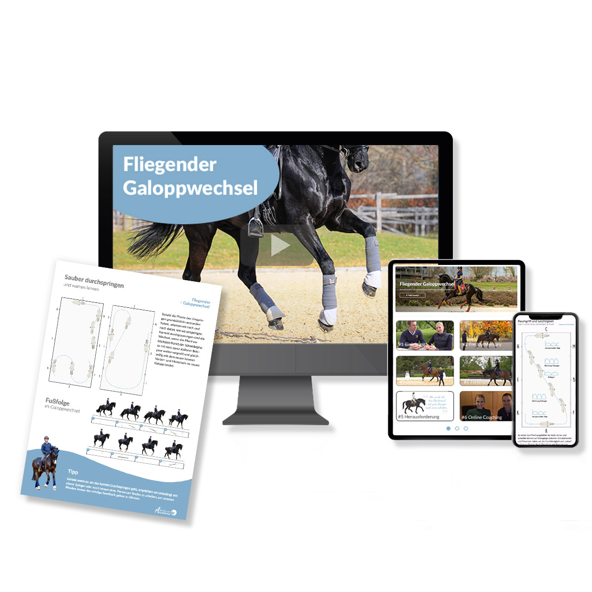 Online Kurs Fliegender Galoppwechsel