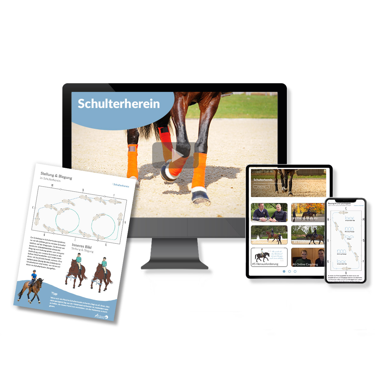 Online Kurs Schulterherein