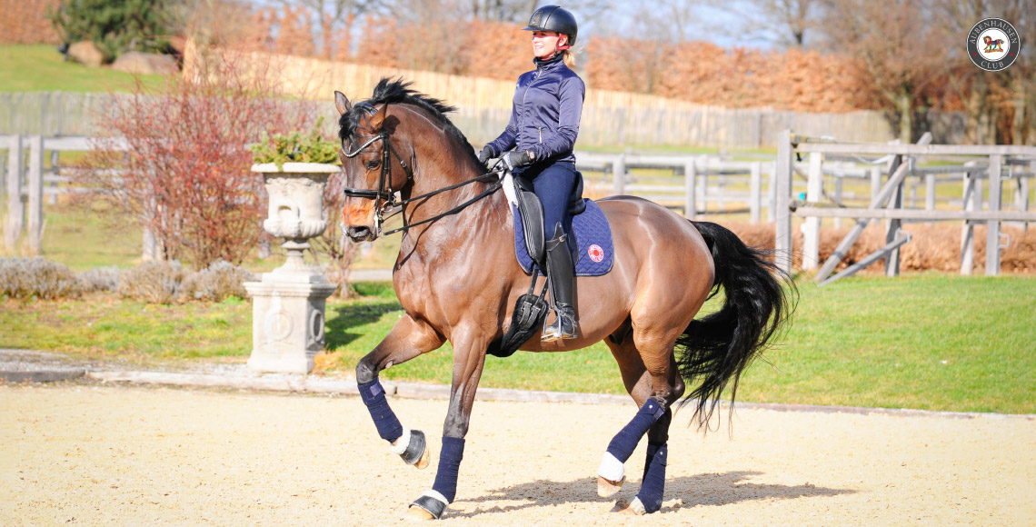 Am Sitz reiten – was bedeutet das und wie erreicht man es?